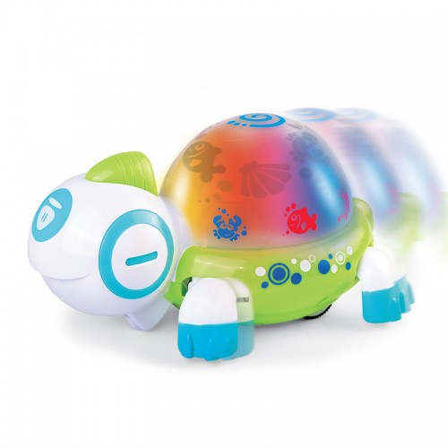 Hap-P-Kid Little Learner Walk N Glow Turtle